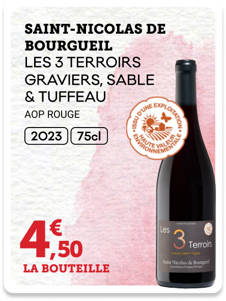 3 - ST NICOLAS DE BOURGUEIL